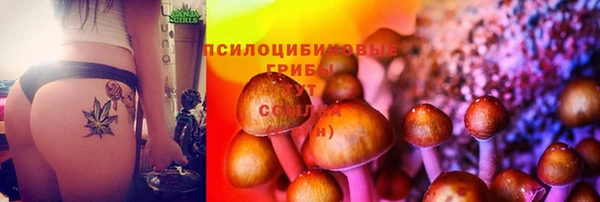 МДПВ Абдулино