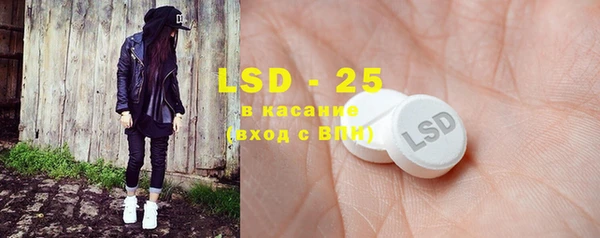 крисы Абаза