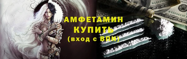 крисы Абаза