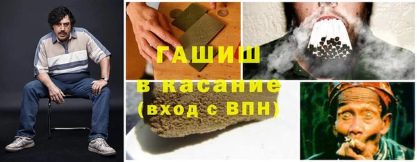 крисы Абаза